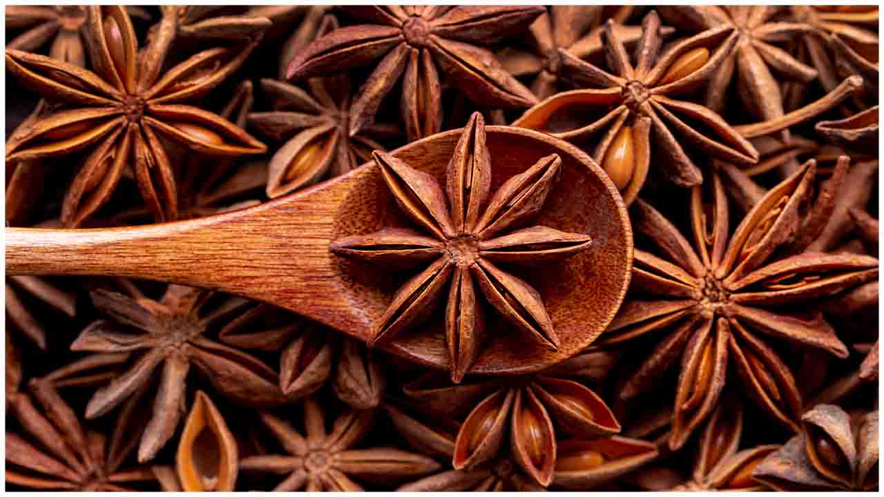 Star Anise is a Wonder Herb, Let's understand Know Why?