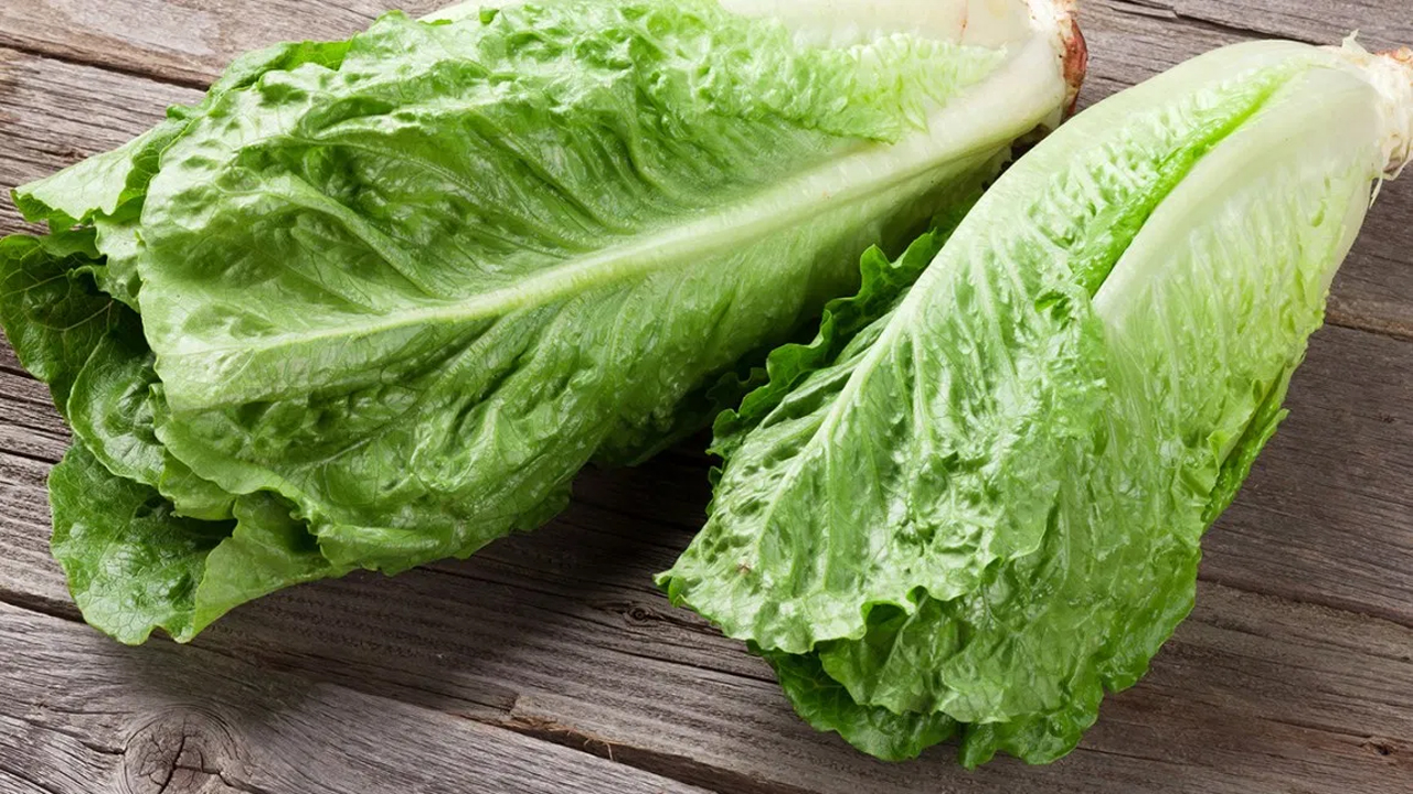 5 wonderful Benefits of Lettuce